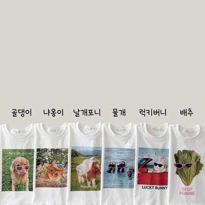 [PRE-ORDER] How To Choose T-Shirts