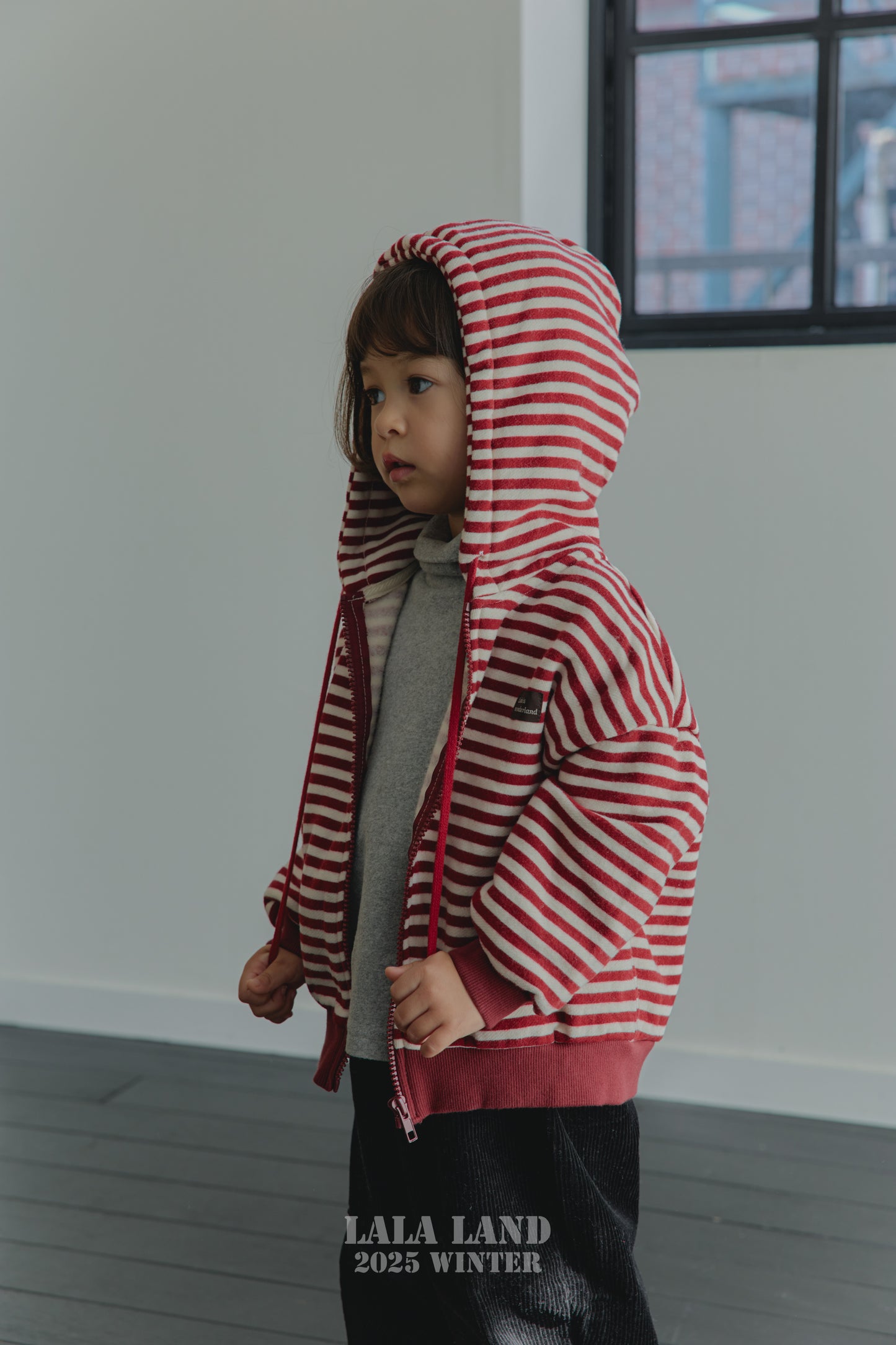 [PRE-ORDER] Willy Stripe Hoodie Jacket
