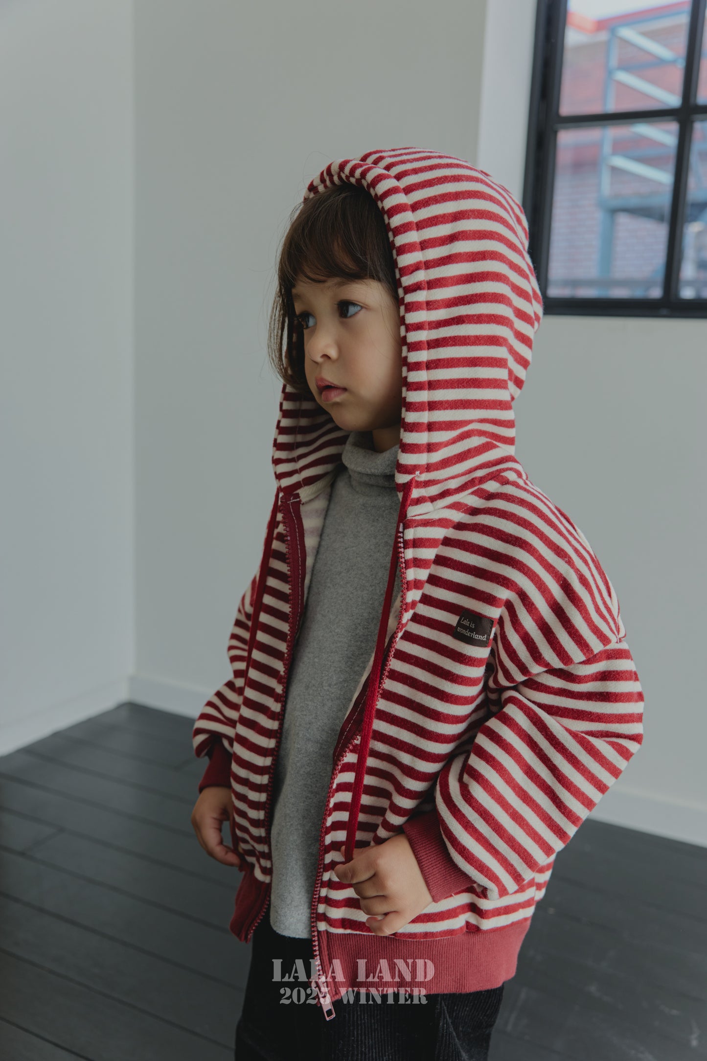 [PRE-ORDER] Willy Stripe Hoodie Jacket
