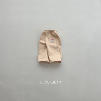 [PRE-ORDER] Mission Pants