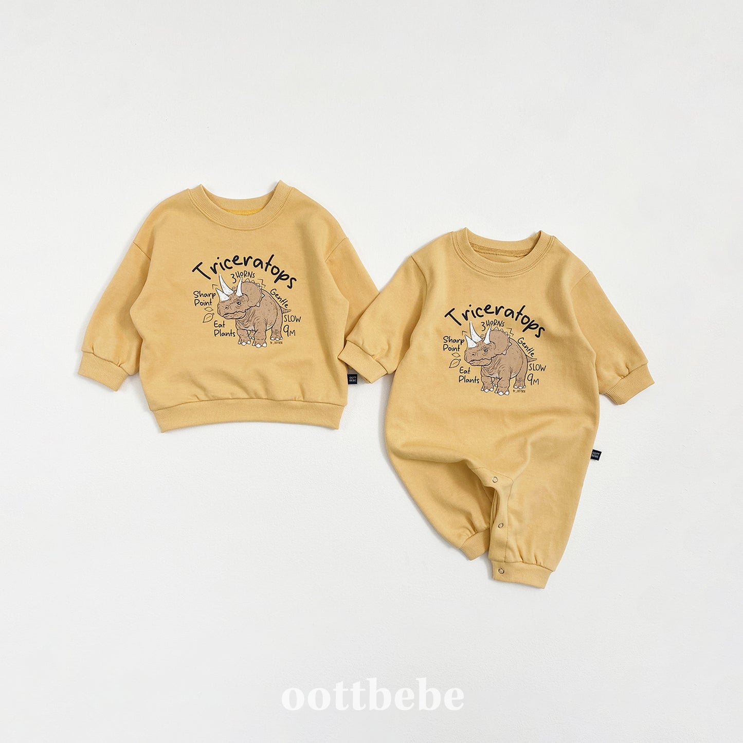 [PRE-ORDER] Dino Sweatshirts