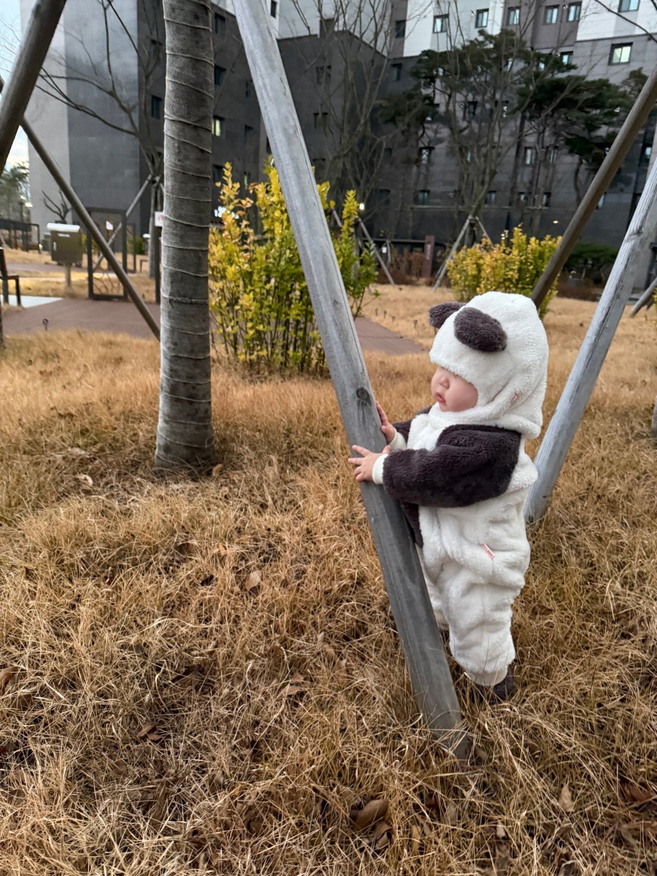 [PRE-ORDER] Kinder Panda Suit
