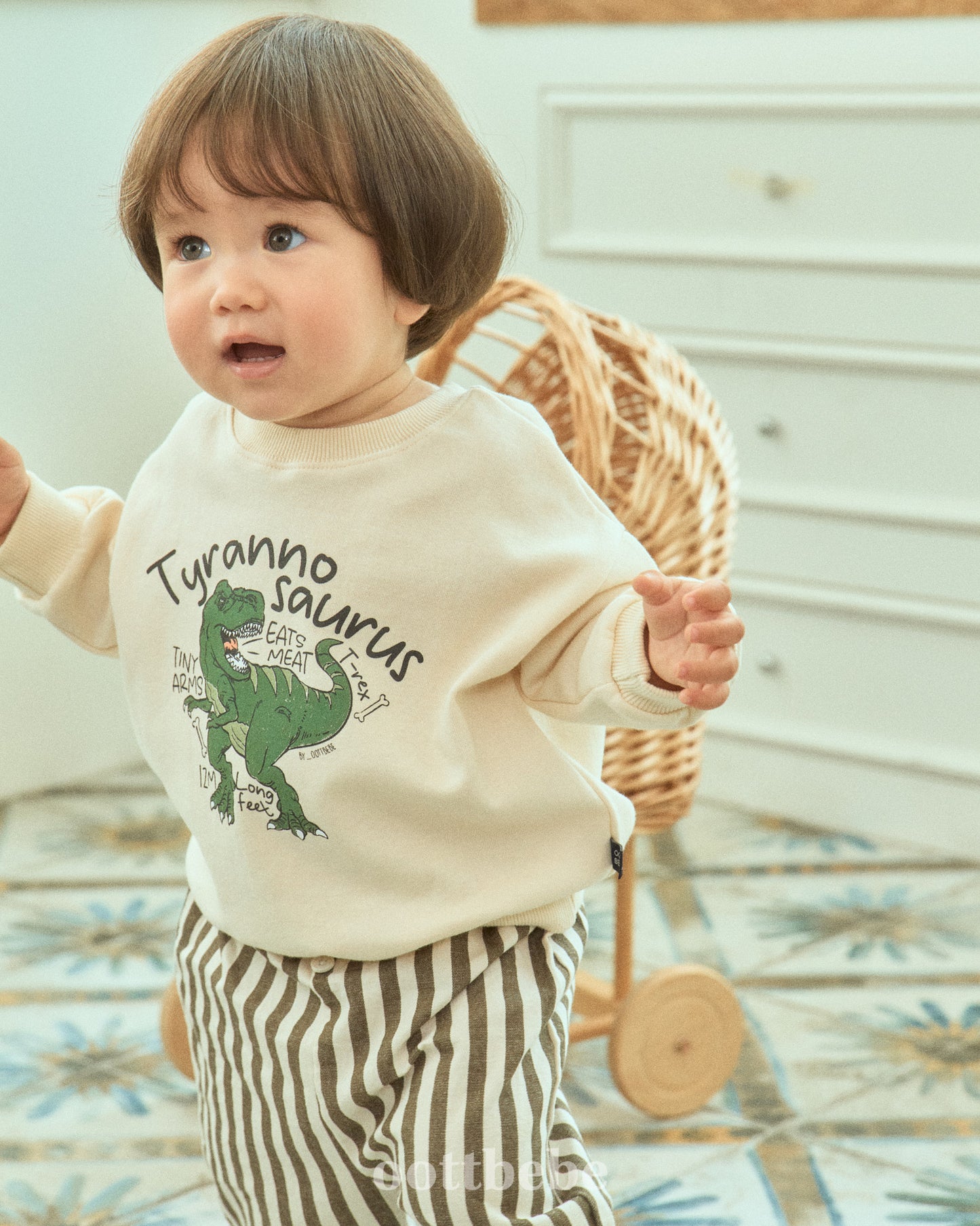 [PRE-ORDER] Dino Sweatshirts