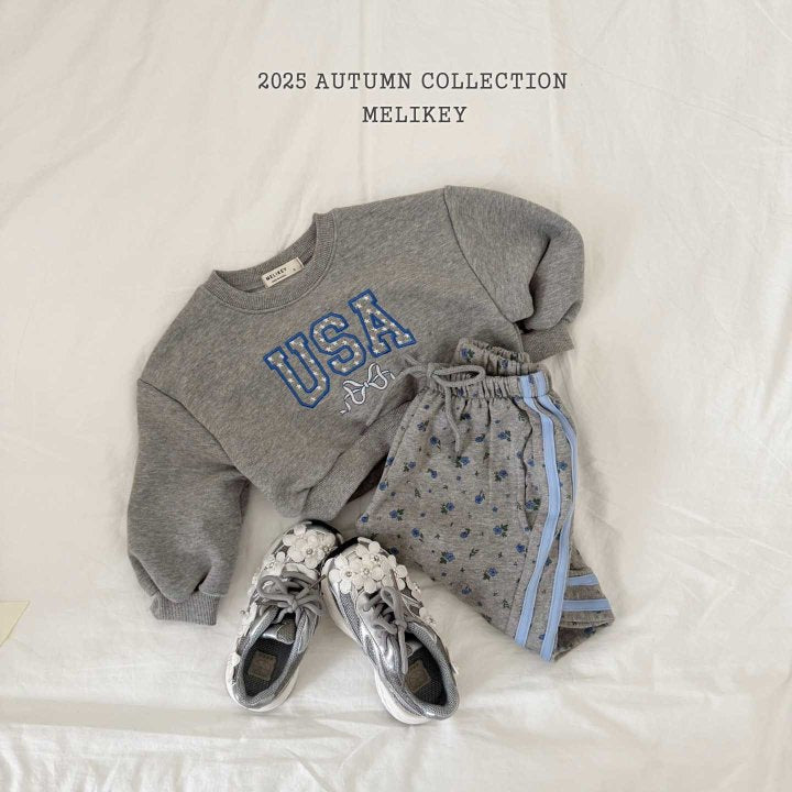 [PRE-ORDER] USA Crop Sweatshirts