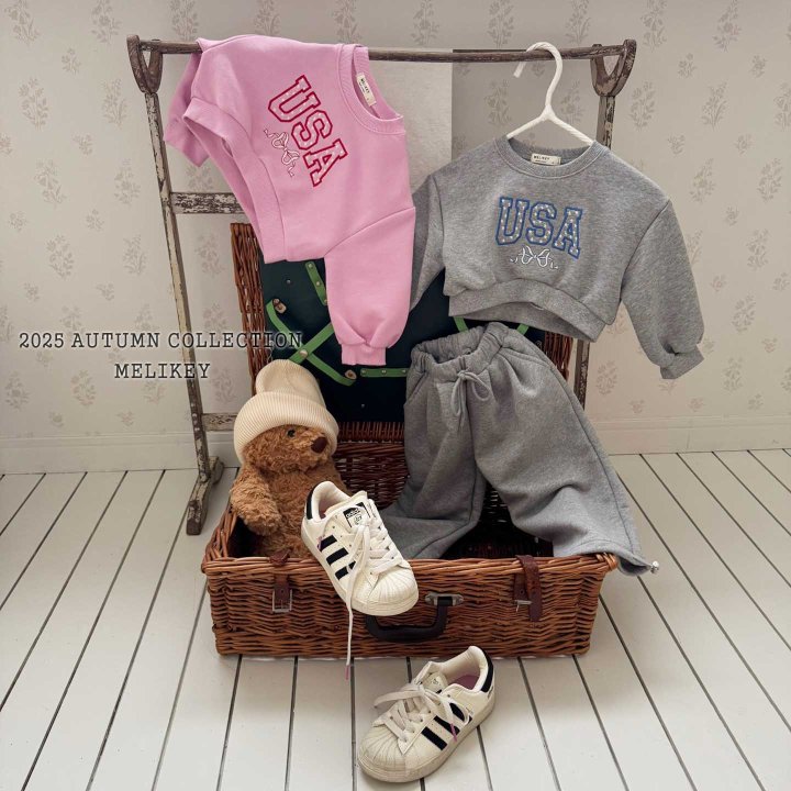 [PRE-ORDER] USA Crop Sweatshirts