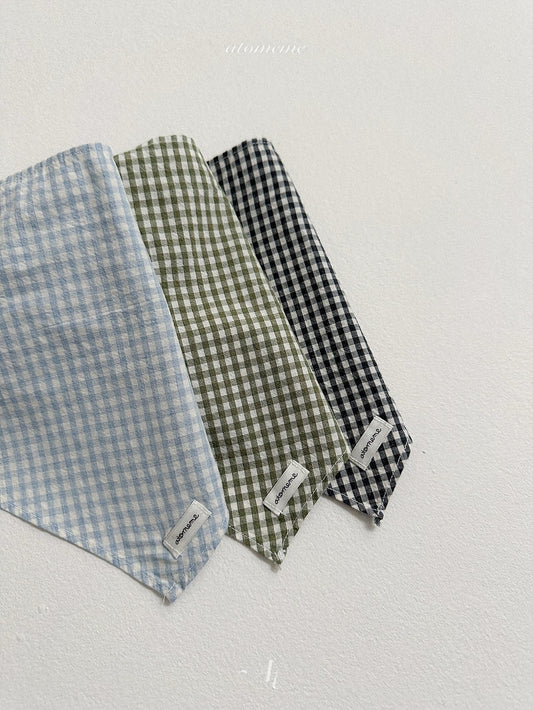 [PRE-ORDER] Muse Check Scarf