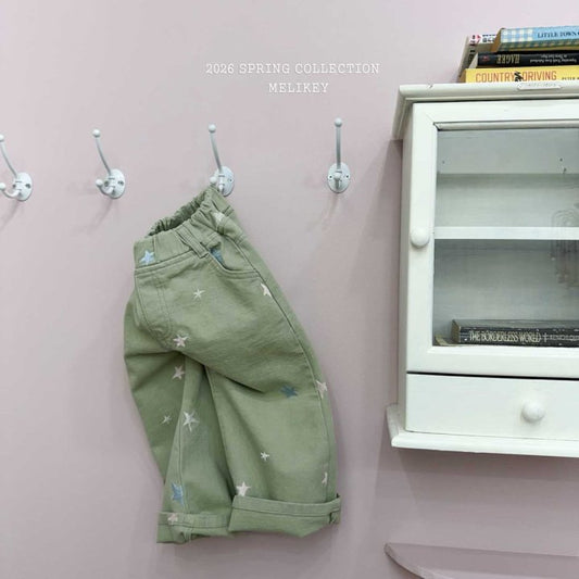 [PRE-ORDER] Star Embroidery Pants
