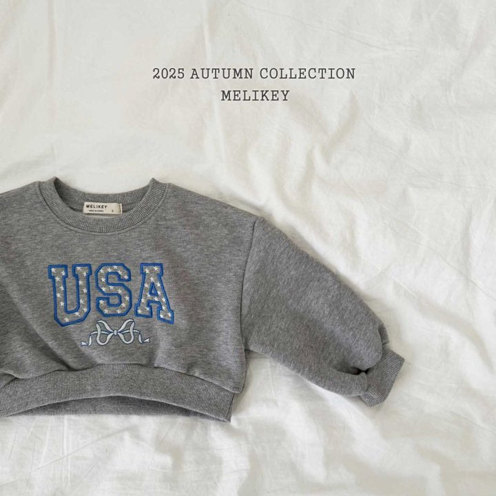 [PRE-ORDER] USA Crop Sweatshirts