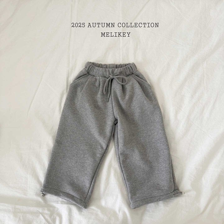 [PRE-ORDER] Two Tuck Wild Pants