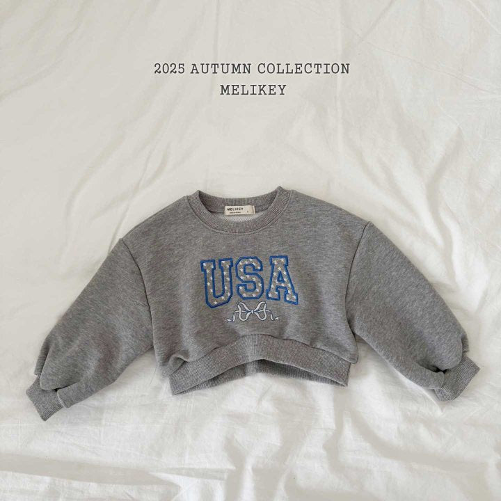 [PRE-ORDER] USA Crop Sweatshirts