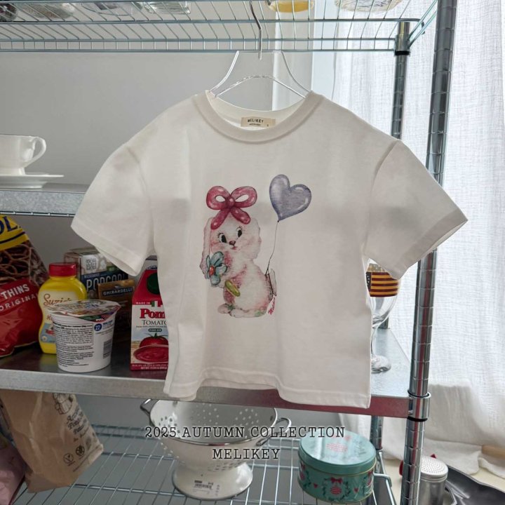 [PRE-ORDER] Balloon Rabbit T-Shirts