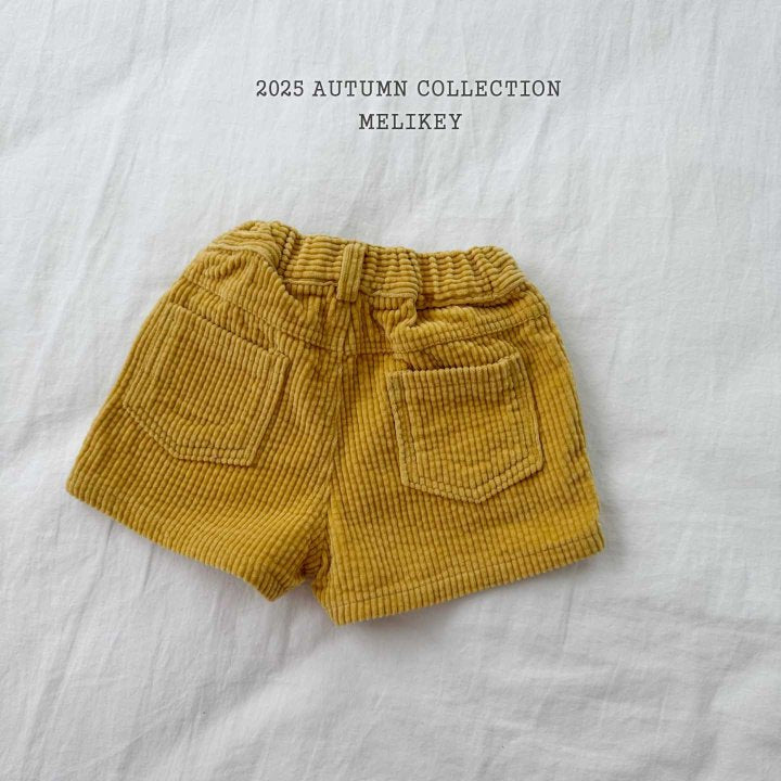 [PRE-ORDER] Bubble Corduroy Shorts