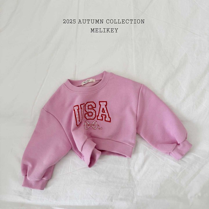 [PRE-ORDER] USA Crop Sweatshirts