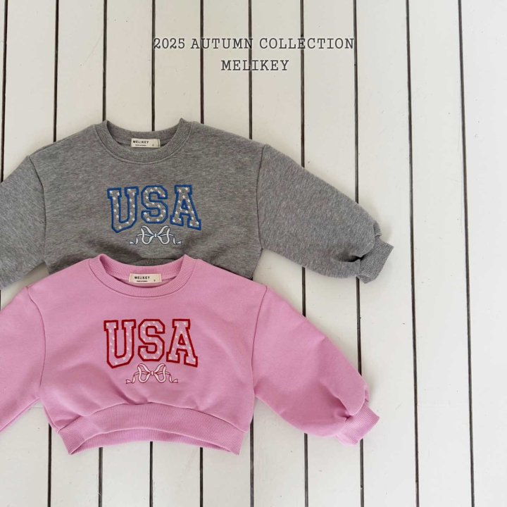 [PRE-ORDER] USA Crop Sweatshirts