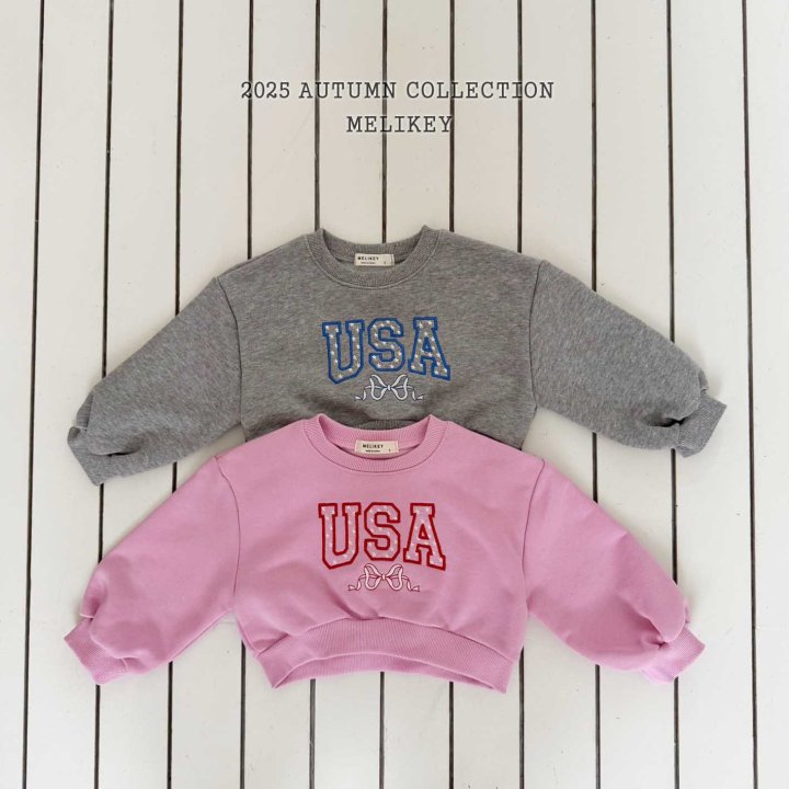 [PRE-ORDER] USA Crop Sweatshirts
