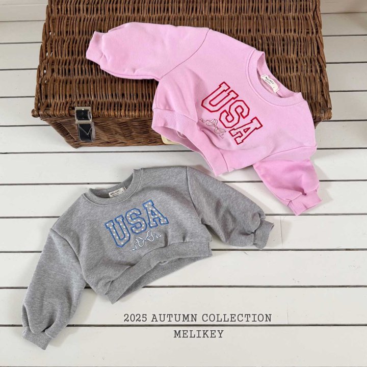 [PRE-ORDER] USA Crop Sweatshirts