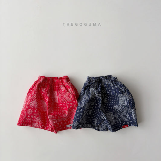 [PRE-ORDER] Paisley Shorts