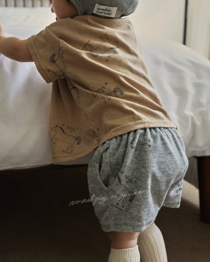 [PRE-ORDER] Pony Shorts