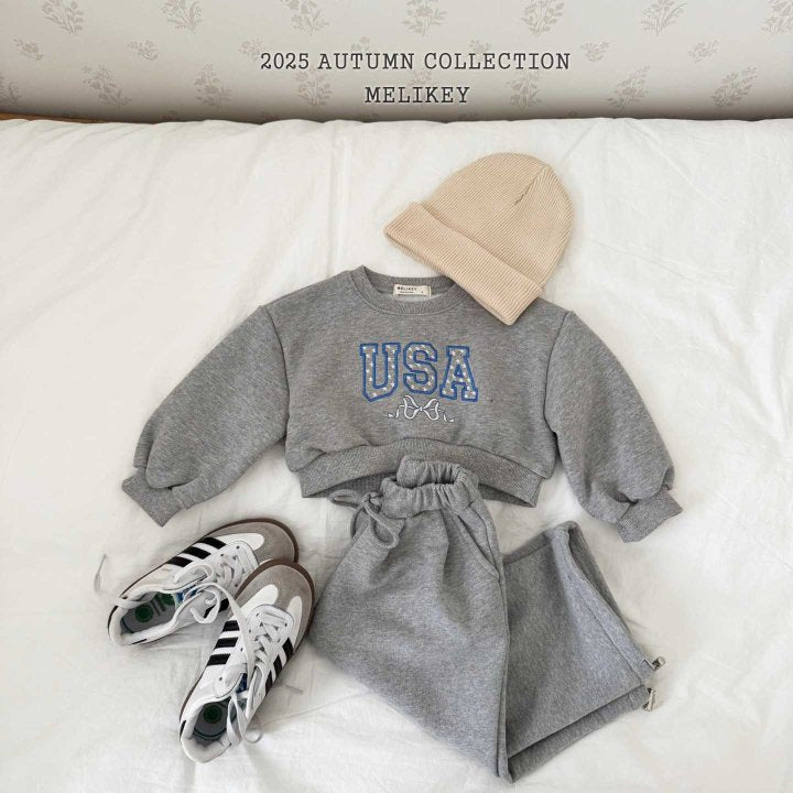 [PRE-ORDER] USA Crop Sweatshirts