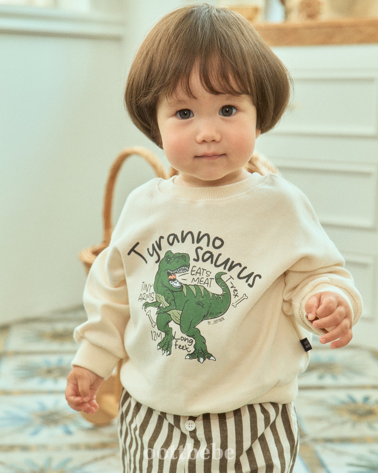 [PRE-ORDER] Dino Sweatshirts