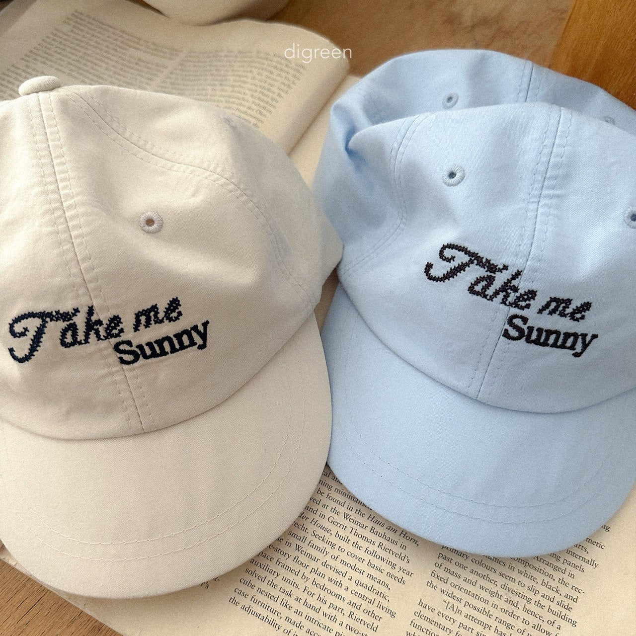 Take Ball Cap [Sky Blue]