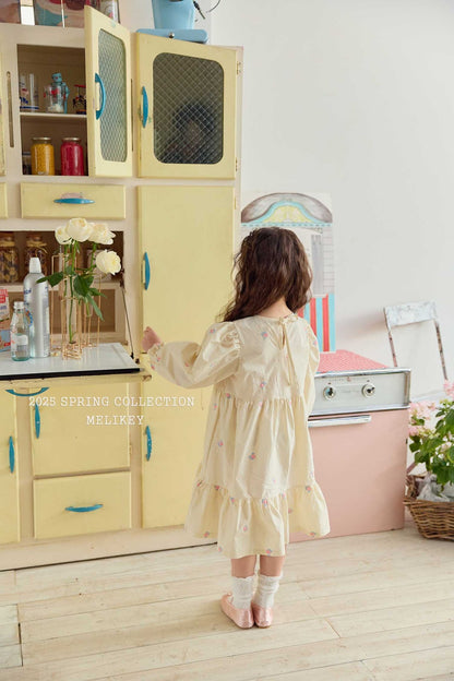 Jasmine Embroidery Dress [S(2-3yr)]