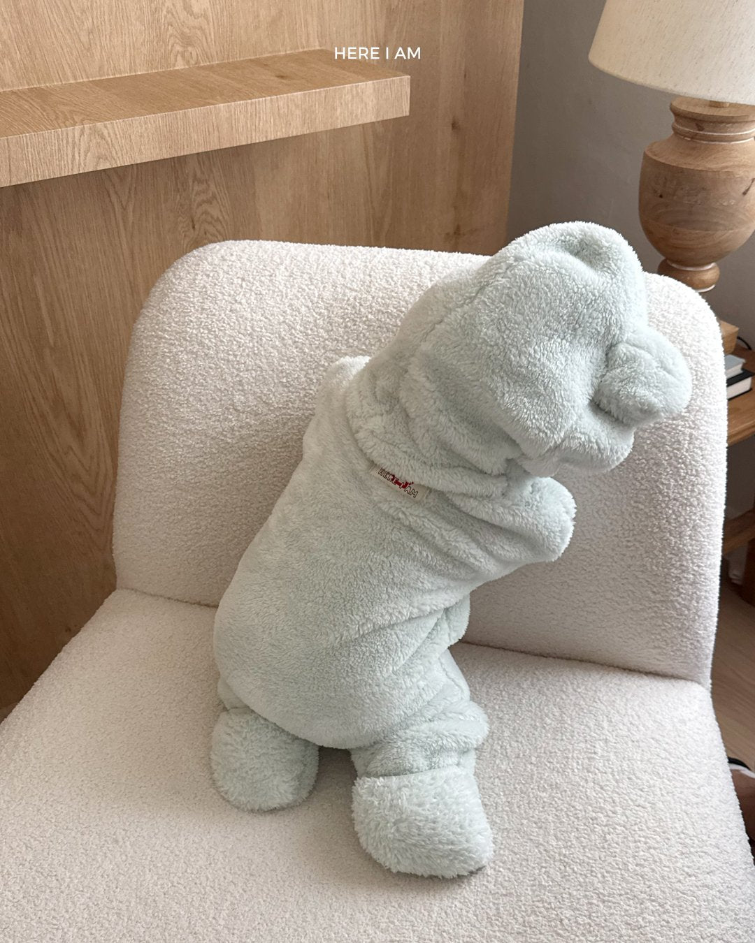 [PRE-ORDER] Kinder Body Suit