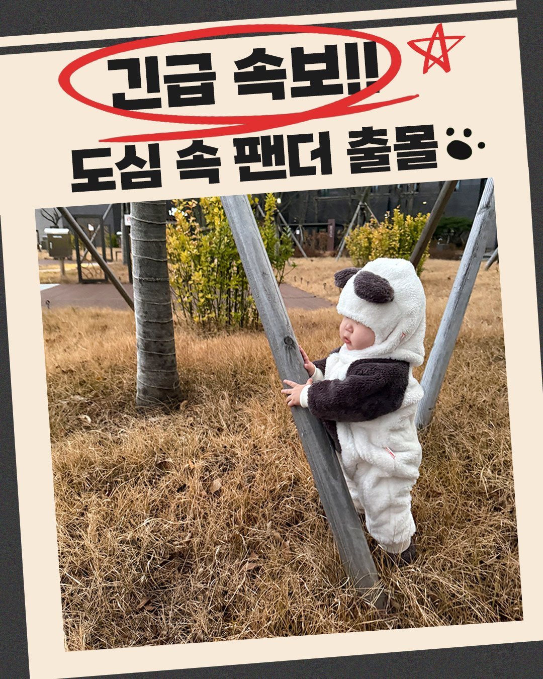[PRE-ORDER] Kinder Panda Suit