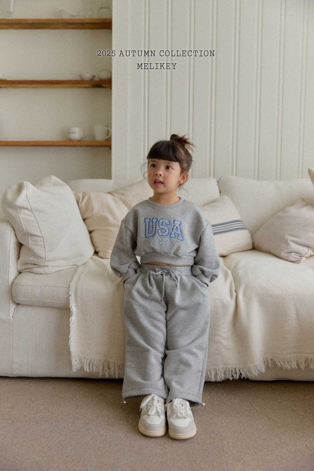 [PRE-ORDER] USA Crop Sweatshirts