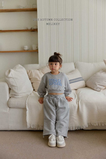 [PRE-ORDER] USA Crop Sweatshirts