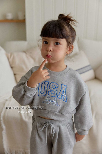 [PRE-ORDER] USA Crop Sweatshirts