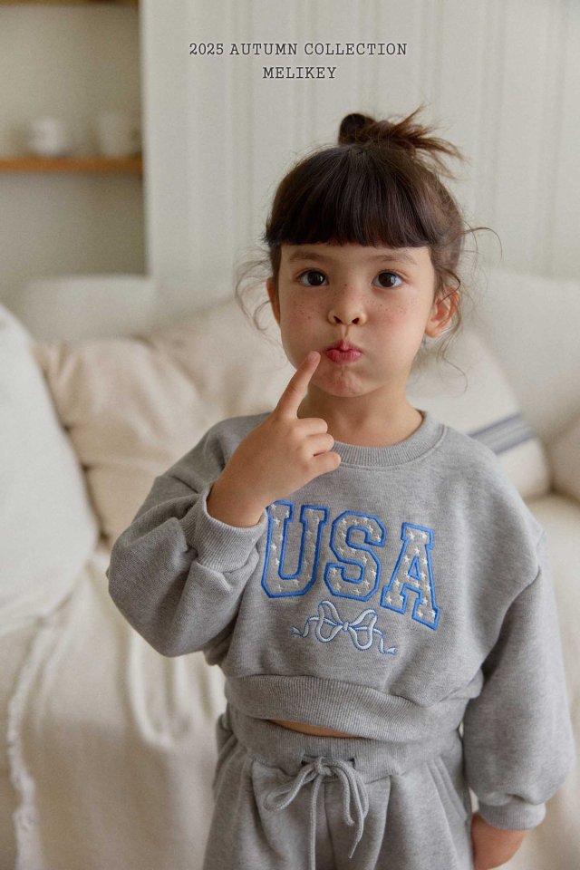 [PRE-ORDER] USA Crop Sweatshirts