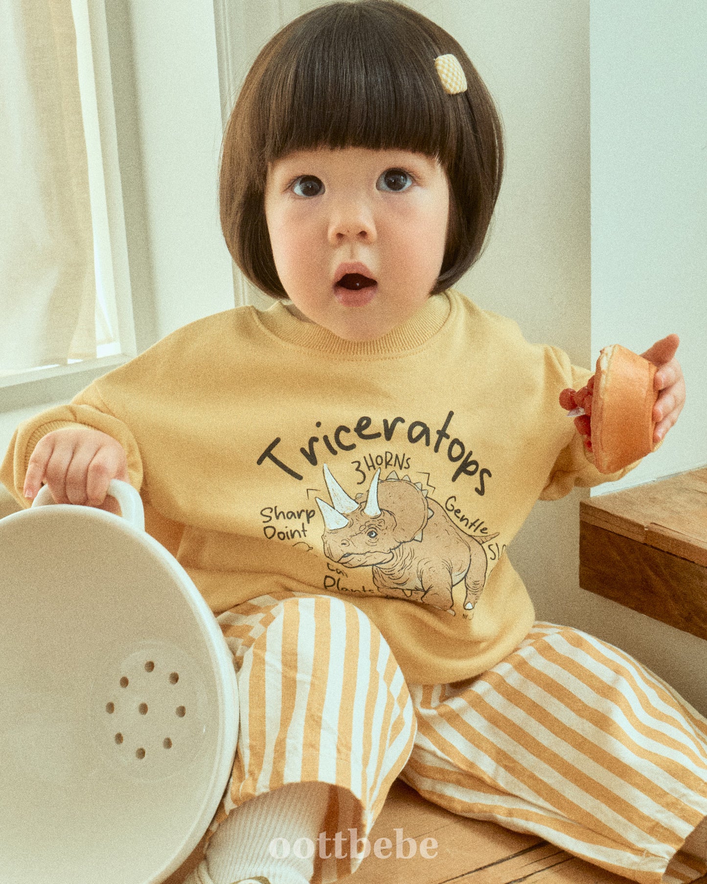 [PRE-ORDER] Dino Sweatshirts