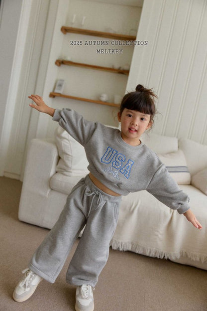 [PRE-ORDER] USA Crop Sweatshirts