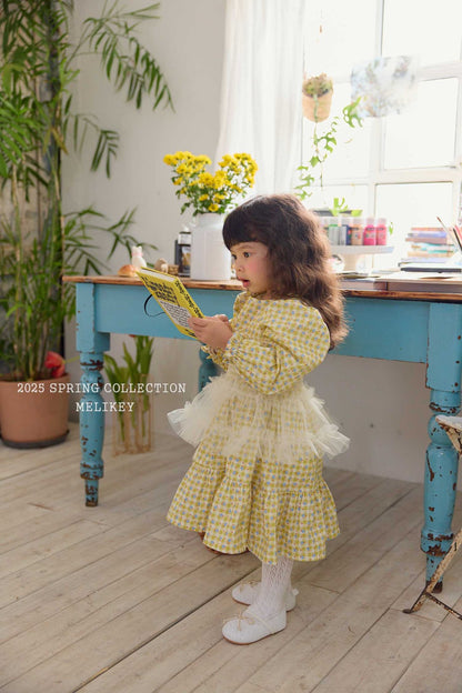 Check Floral Dress [S(2-3yr)]