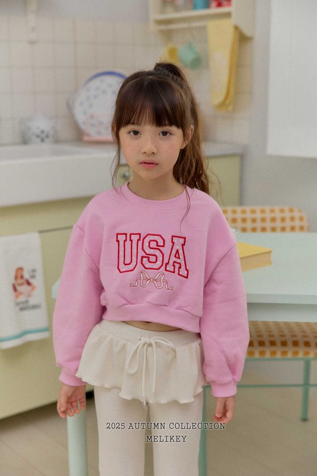 [PRE-ORDER] USA Crop Sweatshirts