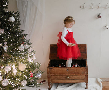 [PRE-ORDER] Enju Dress