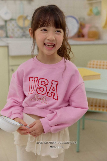 [PRE-ORDER] USA Crop Sweatshirts