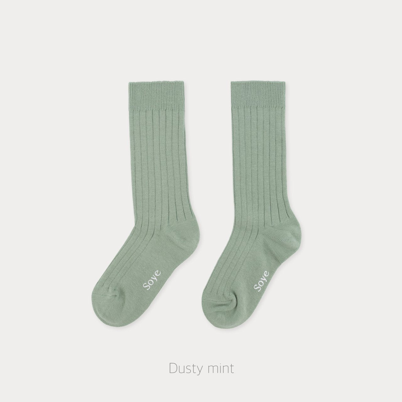[PRE-ORDER] New Basic Socks
