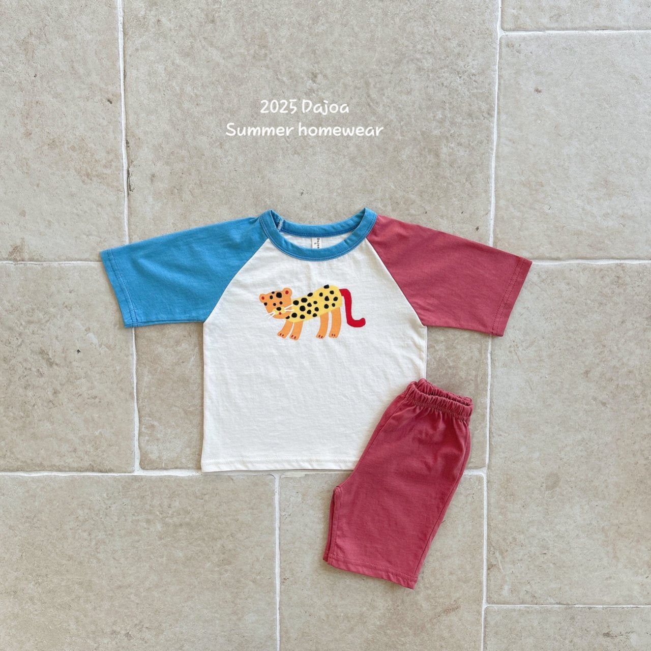 [PRE-ORDER] Animal Color Block Home Wear Set