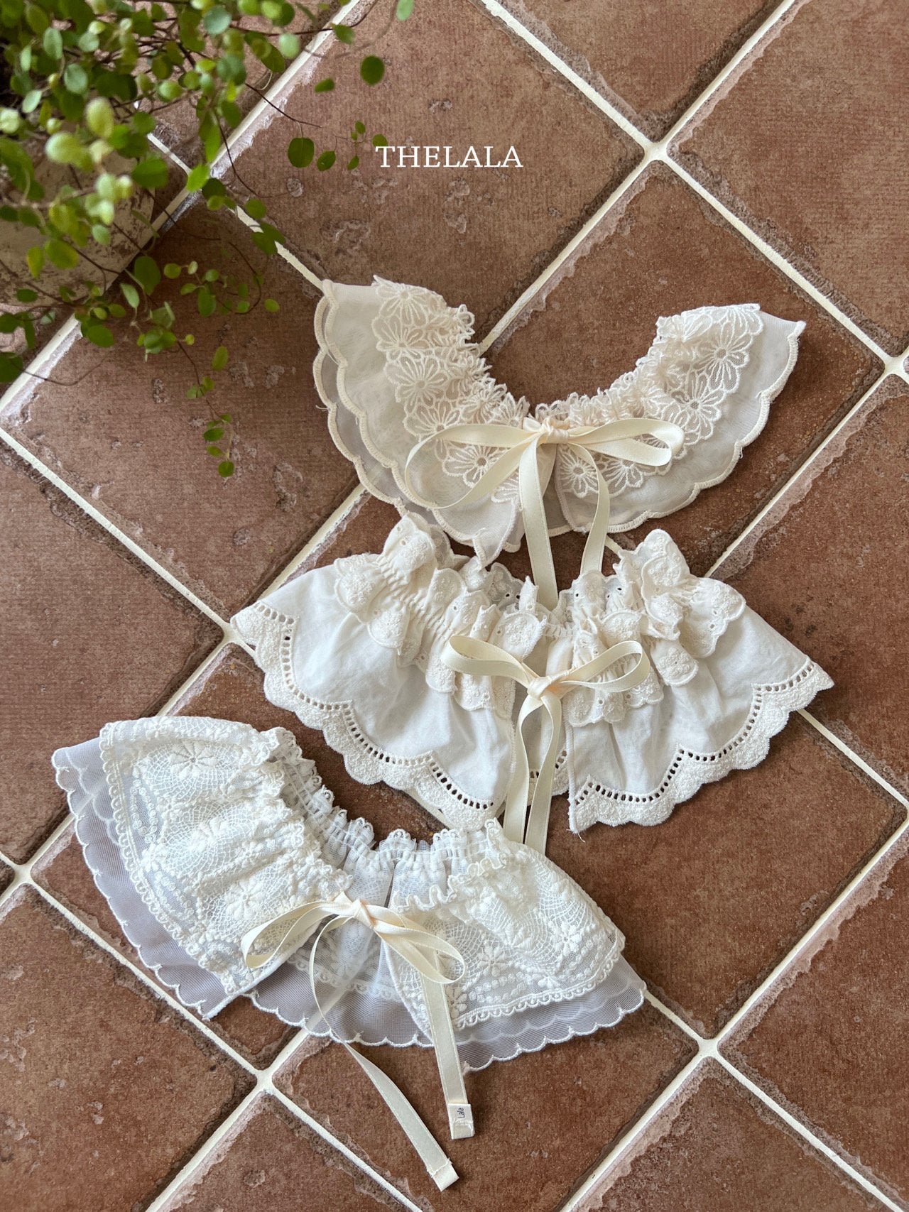[PRE-ORDER] Butterfly Cape