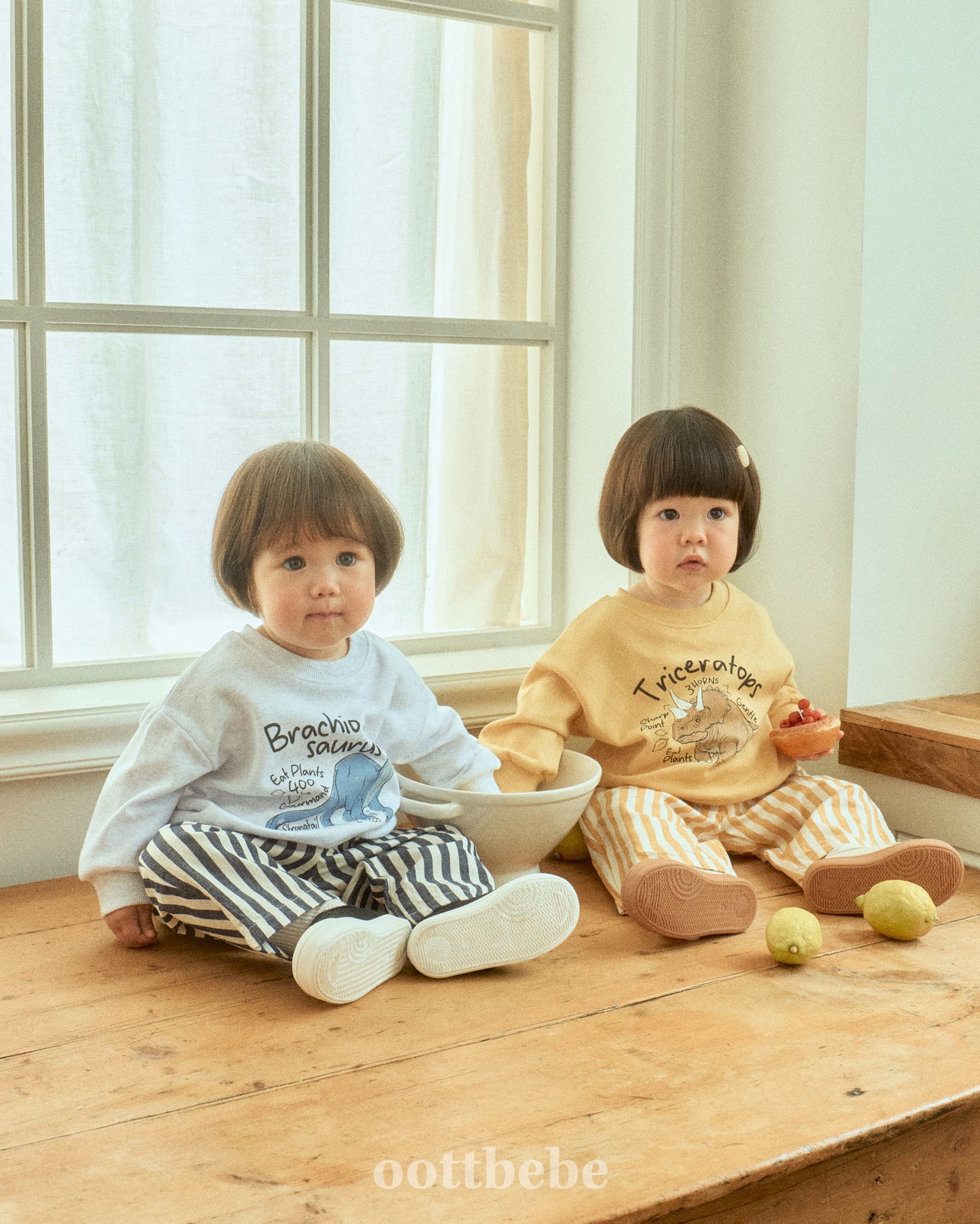 [PRE-ORDER] Dino Sweatshirts