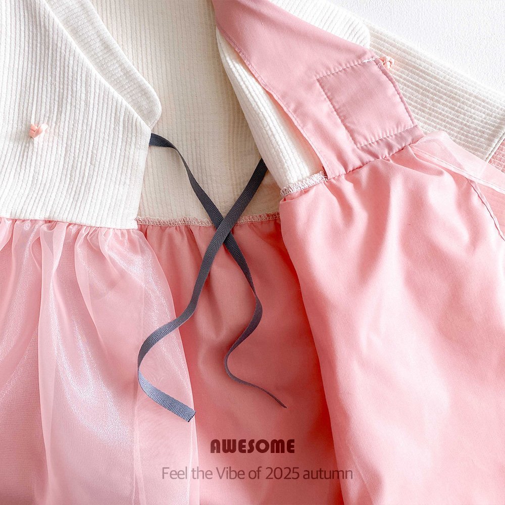 [Limited Time Order] Embroidery Hanbok Dress