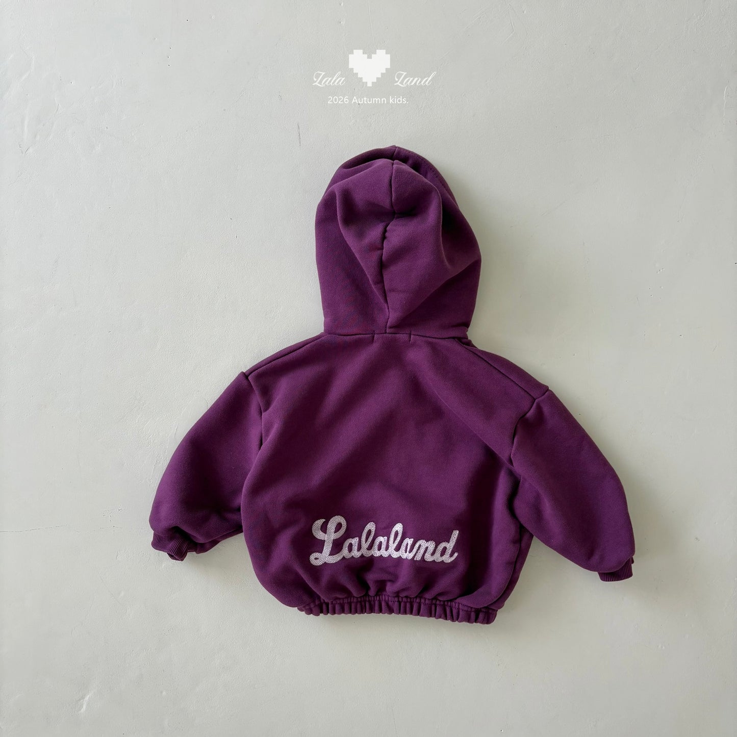 [PRE-ORDER] Binz Hoodie Jacket
