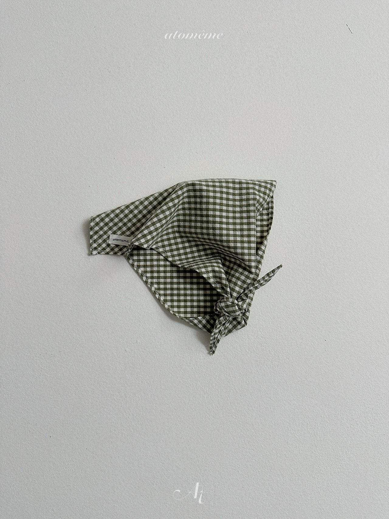 [PRE-ORDER] Muse Check Scarf
