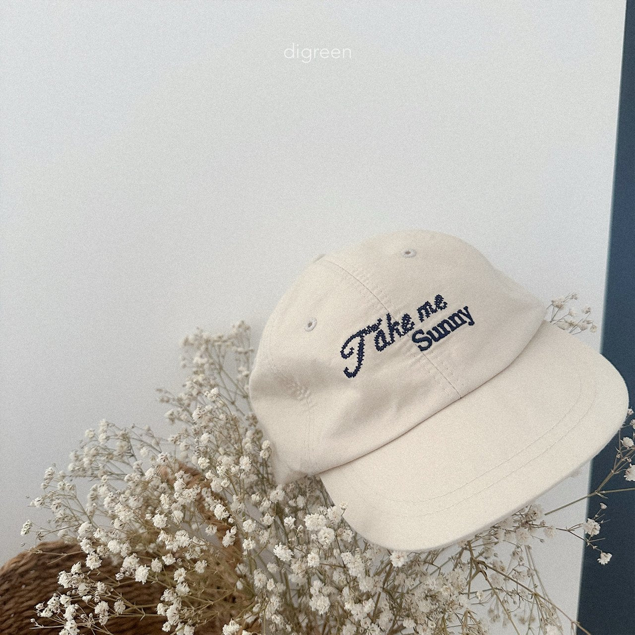 Take Ball Cap [Sky Blue]