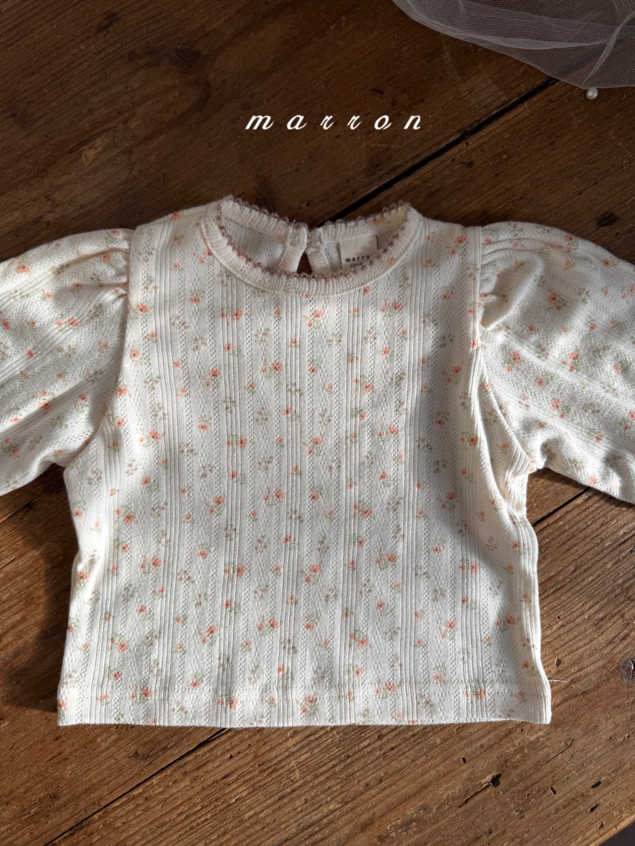 [PRE-ORDER] Jelly T-Shirts