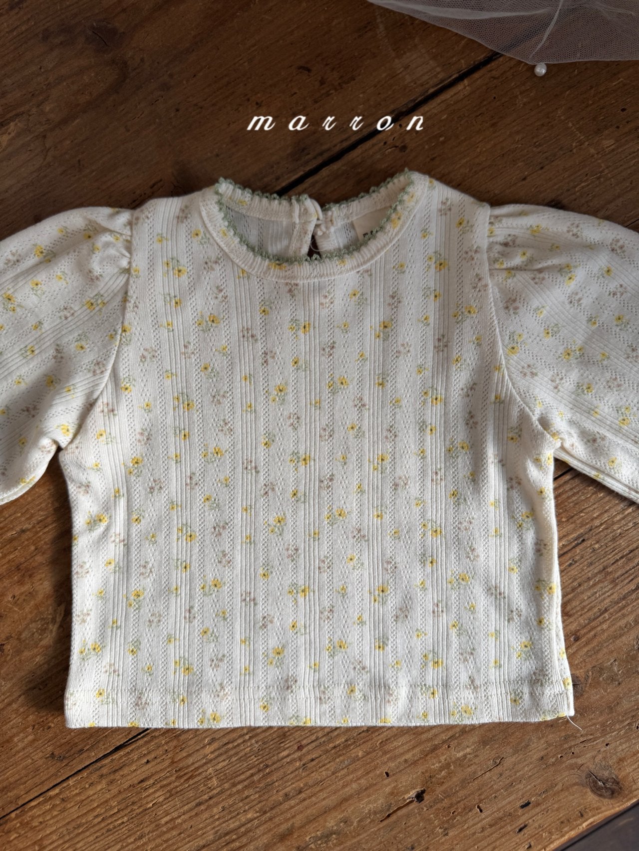 [PRE-ORDER] Jelly T-Shirts