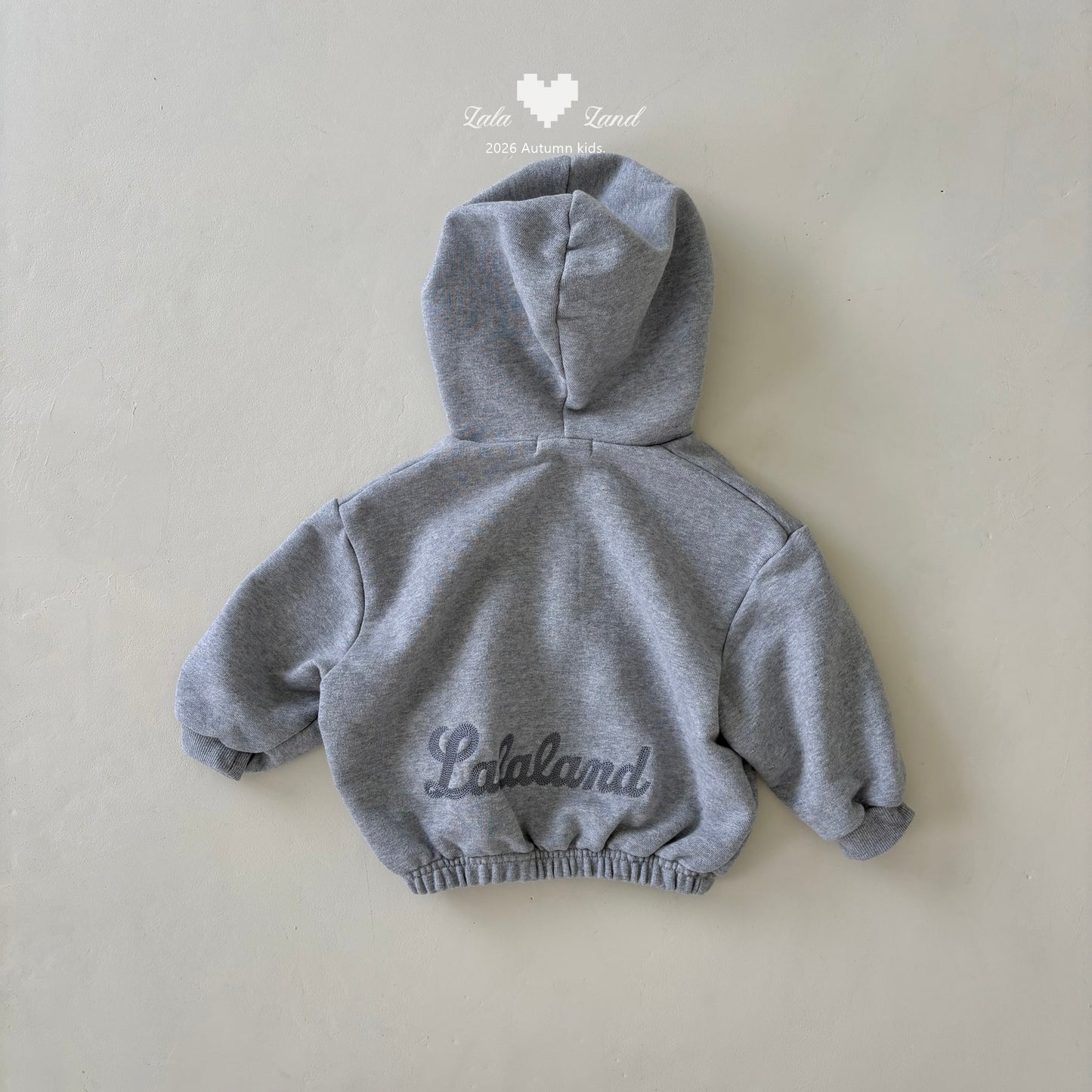 [PRE-ORDER] Binz Hoodie Jacket
