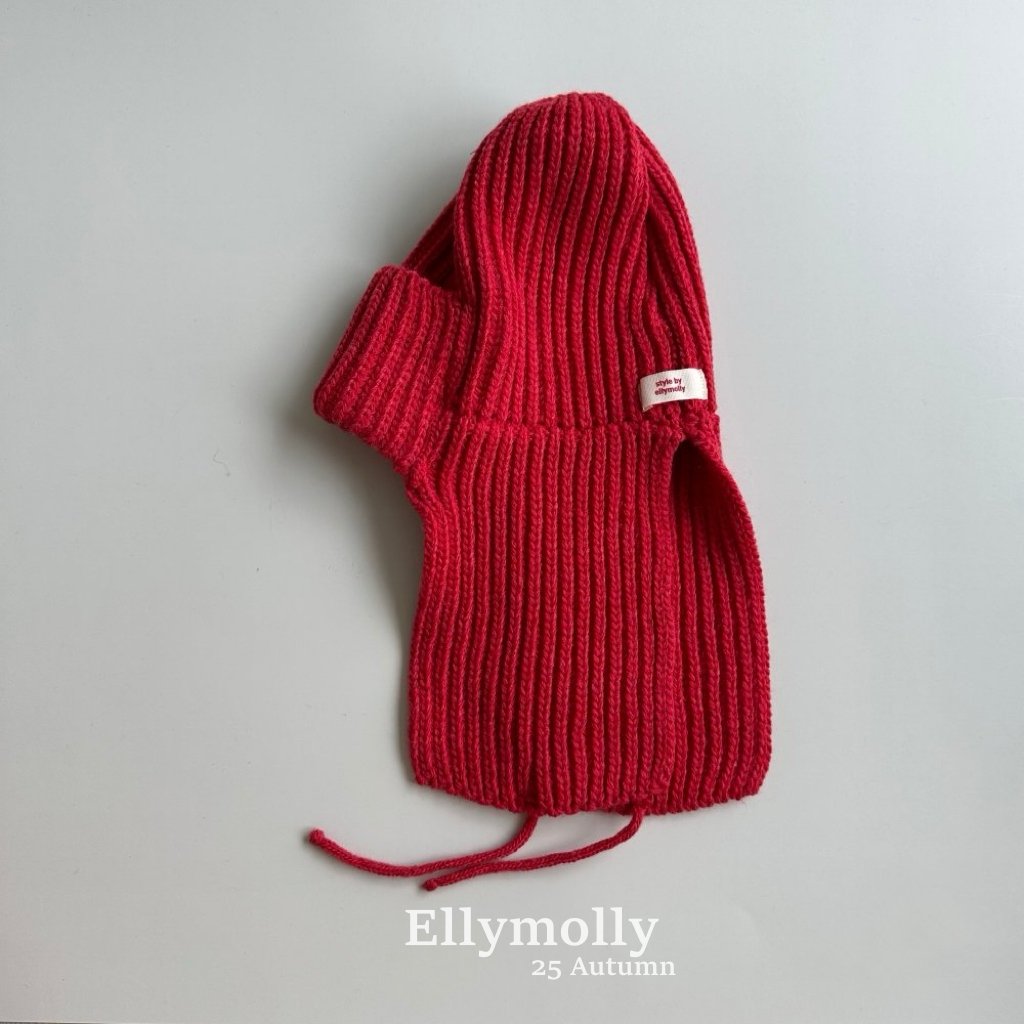 [PRE-ORDER] Elly Trendy Beanie